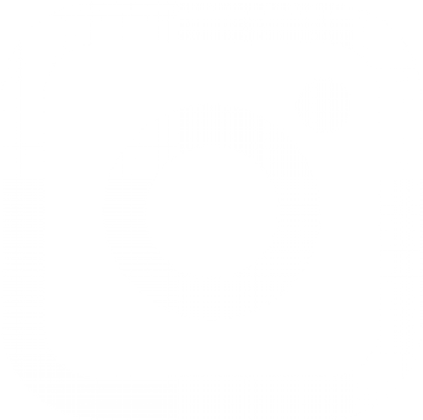 instagram-icon